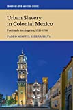 Urban Slavery in Colonial Mexico Puebla de Los Ngeles, 1531-1706  9781108412186 Front Cover