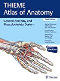 PROMETHEUS Allgemeine Anatomie und Bewegungssystem: 978-3-13-242083-0 3rd 9781626237186 Front Cover