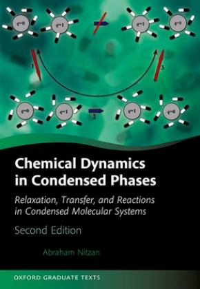 Chemical Dynamics in Condensed Phases 2nd 9780192857187 Front Cover