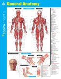 General Anatomy Sparkcharts: 2014 9781411470187 Front Cover