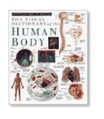 Eyewitness Visual Dictionaries: the Visual Dictionary of the Human Body  cover art