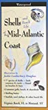 Shells and Beach Life of the Mid-Atlantic Coast  9781893770188 Front Cover