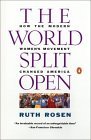 World Split Open How the Modern Women's Movement Changed America: Revised and Updated with a NewE Pilogue cover art