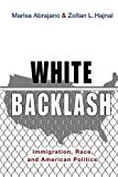 White Backlash Immigration, Race, and American Politics  9780691176192 Front Cover