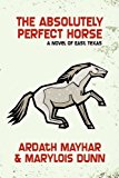 Absolutely Perfect Horse 2009 9781434403193 Front Cover