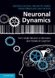 Neuronal Dynamics From Single Neurons to Networks and Models of Cognition  9781107635197 Front Cover