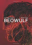 Beowulf A Graphic Novel  9781534309197 Front Cover