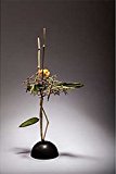 Poetical Ikebana  9789058565198 Front Cover