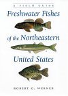 Freshwater Fishes of the Northeastern United States A Field Guide cover art