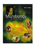 Microbiology An Introduction 2001 9780534556204 Front Cover