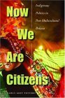 Now We Are Citizens Indigenous Politics in Postmulticultural Bolivia cover art