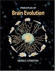 Principles of Brain Evolution 