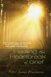 Healing the Heartbreak of Grief 2010 9781426702211 Front Cover