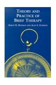 Theory and Practice of Brief Therapy  cover art