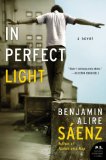In Perfect Light A Novel cover art