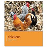 Chicken 2015 9781907337215 Front Cover