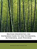 British Zoophytes An Introduction to the Hydroida, Actinozoa, and Polyzoa 2011 9781241650216 Front Cover