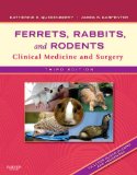 Ferrets, Rabbits, and Rodents Clinical Medicine and Surgery cover art