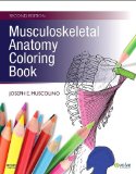 Musculoskeletal Anatomy Coloring Book  cover art