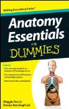 Anatomy Essentials for Dummies  9781118184219 Front Cover