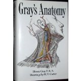 Gray's Anatomy 15th 9781566198219 Front Cover