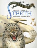 Teeth 2008 9781580891219 Front Cover