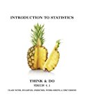 Introduction to Statistics Think and Do  9780988557222 Front Cover