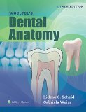Woelfels Dental Anatomy 9th 9781496320223 Front Cover