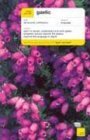 Gaelic Complete Course  9780071420228 Front Cover