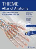 PROMETHEUS Allgemeine Anatomie und Bewegungssystem: 978-3-13-242083-0  cover art