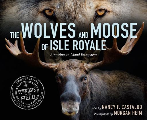 Wolves and Moose of Isle Royale Restoring an Island Ecosystem 2022 9780358274230 Front Cover