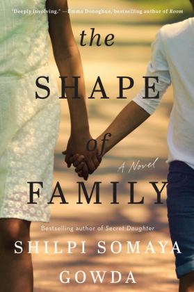 Shape of Family A Novel  9780062933232 Front Cover
