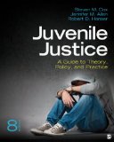 Juvenile Justice A Guide to Theory, Policy, and Practice cover art