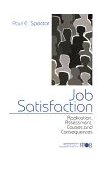Job Satisfaction Application, Assessment, Causes, and Consequences cover art