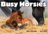 Busy Horsies 2007 9781582462233 Front Cover