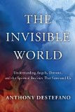 Invisible World Understanding Angels, Demons, and the Spiritual Realities That Surround Us 2011 9780385522236 Front Cover