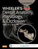 Wheeler&#39;s Dental Anatomy, Physiology and Occlusion 