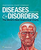 Diseases and Disorders The World's Best Anatomical Charts 4th 2019 Revised  9781975110239 Front Cover