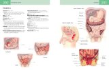 Anatomy Student's Self-Test Visual Dictionary An All-In-One Anatomy Reference and Study Aid cover art