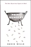 Prime Numbers The Most Mysterious Figures in Math 2005 9781620458242 Front Cover