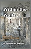 Within the Walls A 21st Century Tale of Love and Technology  9780961885243 Front Cover