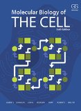 Molecular Biology of the Cell 6th 9780815345244 Front Cover