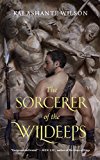 Sorcerer of the Wildeeps  9780765385246 Front Cover