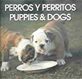 Perros Y Perritos/Puppies & Dogs: 1994 9780824100247 Front Cover