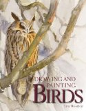 Drawing and Painting Birds  9781847972248 Front Cover