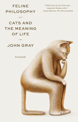 Feline Philosophy Cats and the Meaning of Life  9781250800251 Front Cover