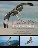 Hawks from Every Angle How to Identify Raptors in Flight  9780691118253 Front Cover