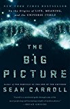 Big Picture On the Origins of Life, Meaning, and the Universe Itself  9781101984253 Front Cover