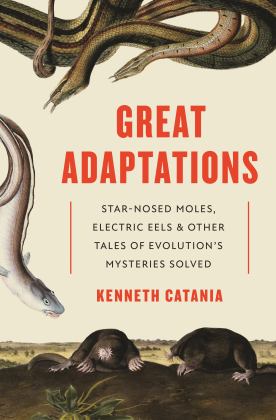 Great Adaptations Star-Nosed Moles, Electric Eels, and Other Tales of Evolution's Mysteries Solved  9780691195254 Front Cover
