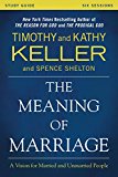 Meaning of Marriage Study Guide A Vision for Married and Unmarried People  9780310868255 Front Cover